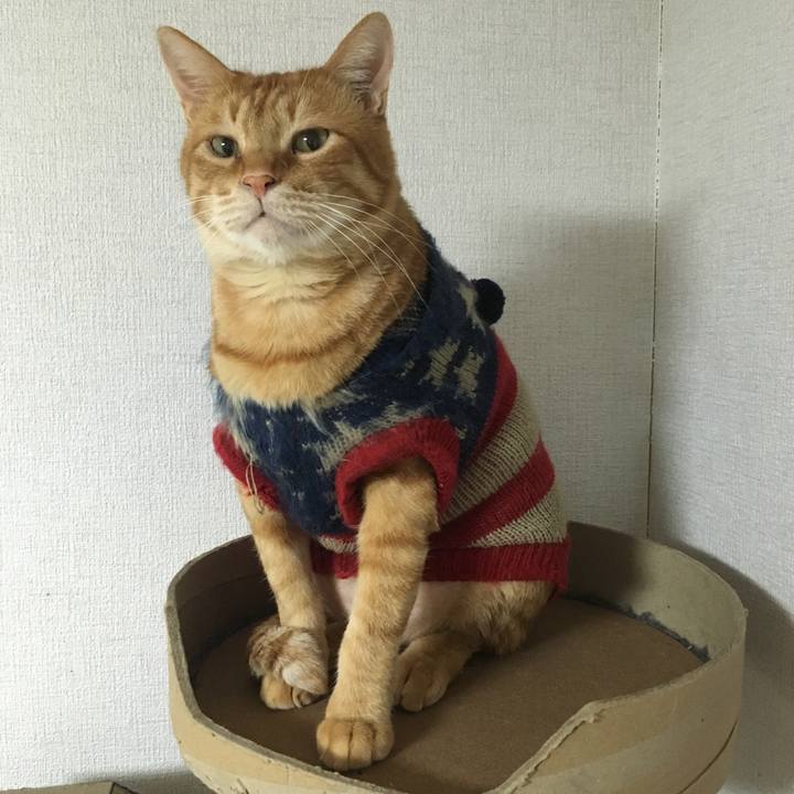 1eb6f6af f57d 4829 8240 7dcd4415a756 1543701958425