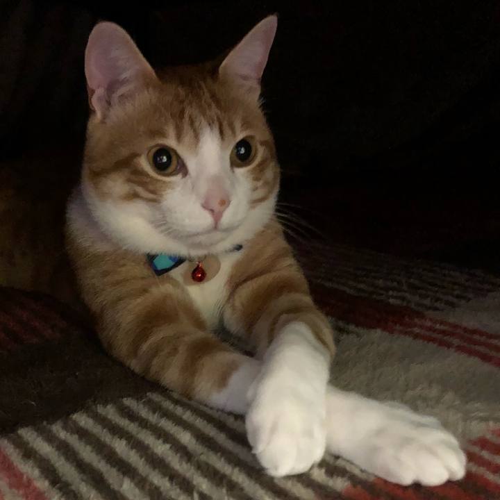 1eb70302 1184 4306 8323 e5727fb41801 1515667176956