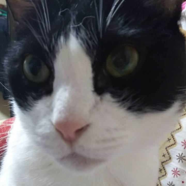 1eb726d7 790e 4c74 bcd8 d0bad427ddc5 1576791583391