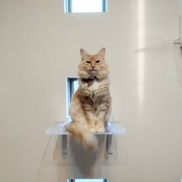 1eb72f2a 2a37 4442 89bd 760c9aa7c399 1641713849939