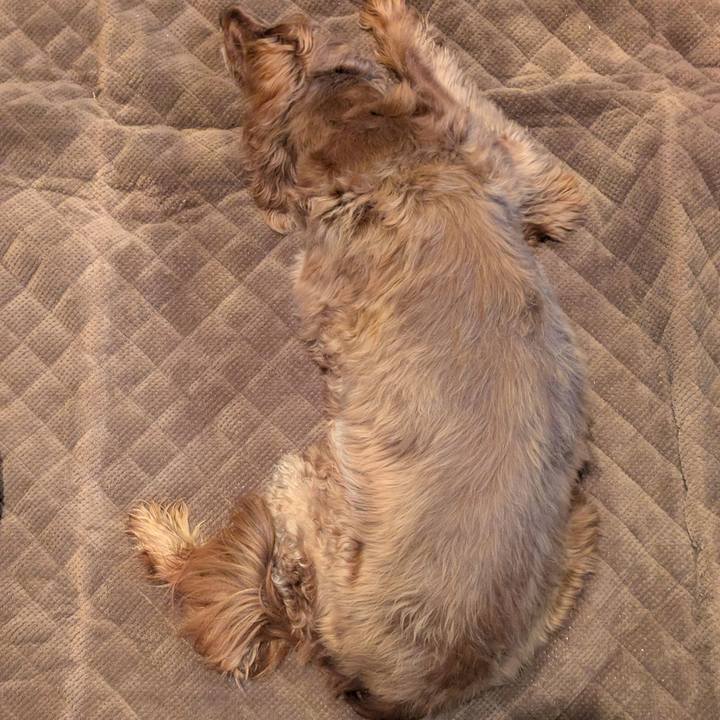 1eb75ac3 6808 4e5a b05a cd7608973cc3 1764029827234