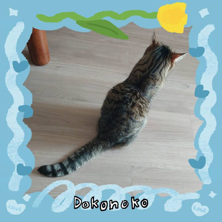 1eb78933 49f5 4f5b aa89 75d6702d1e83 1772331129255