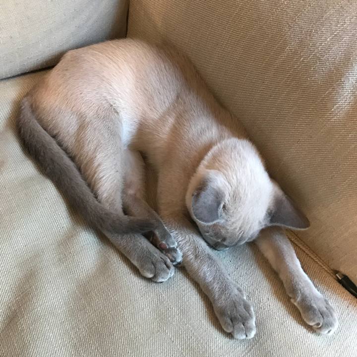 1eb79042 03f7 4ed2 935b 065a71fea911 1537589451615