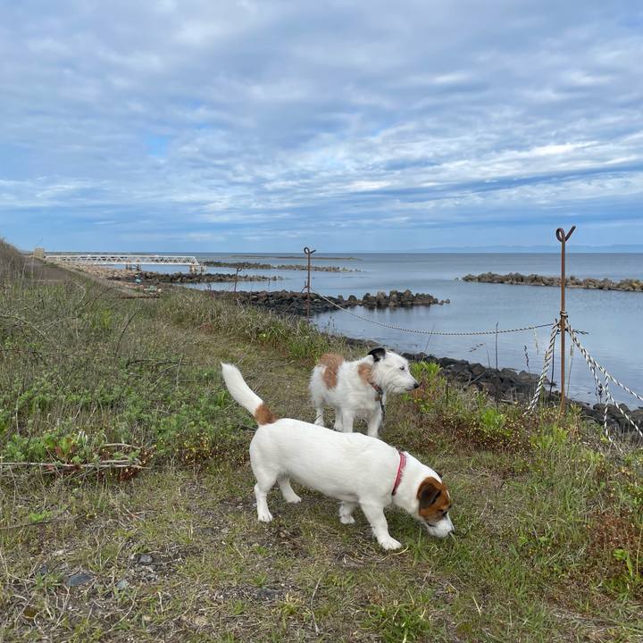 1eb7a76f 80de 4895 b685 6d32a068cb84 1715817643740