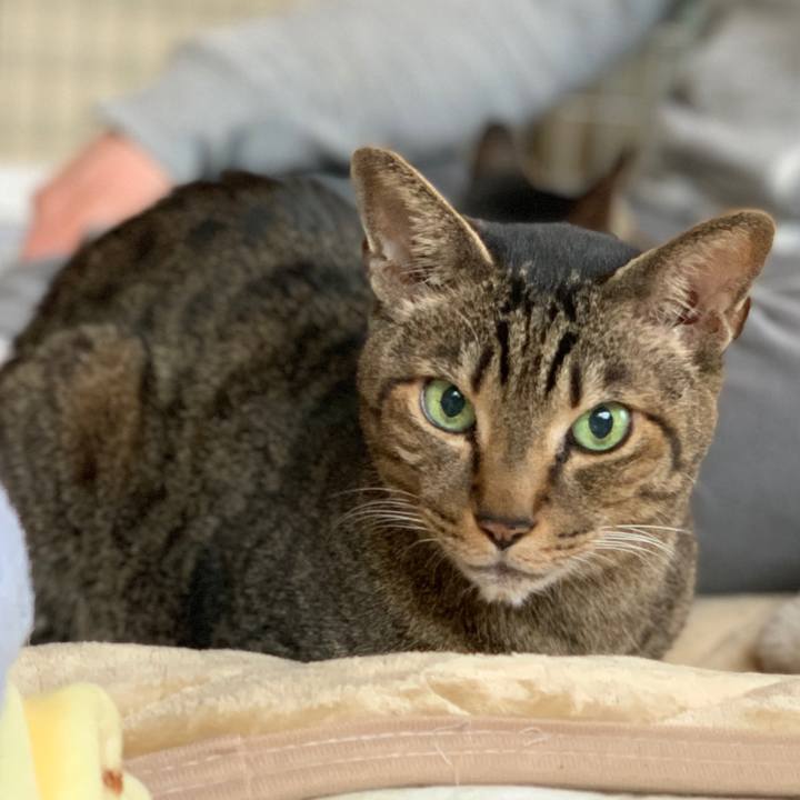 1eb83a32 49ea 440e 932e 206692427cb7 1551316808702