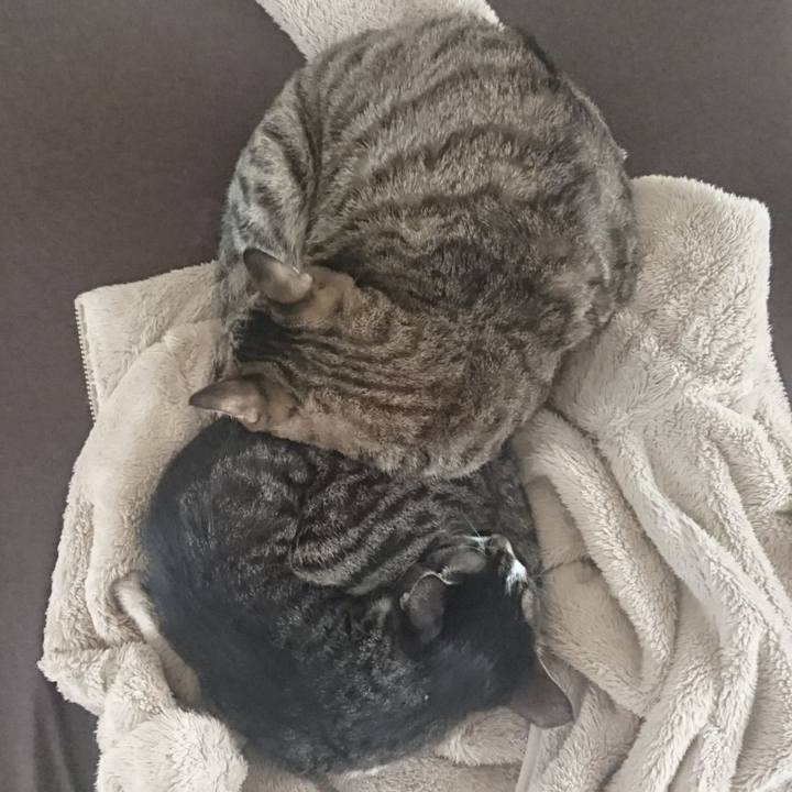 1eb8498f 48b4 4dfb b2b2 8fc8a85b3bb2 1511667078720