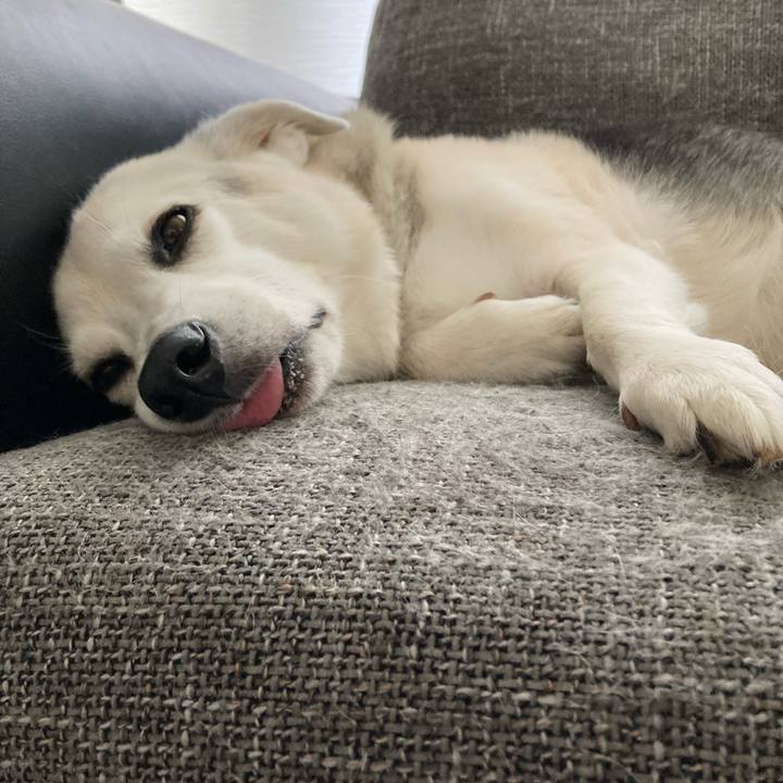 1eb85f4b 18a8 4cd2 9510 0d01e75efeed 1630460285419