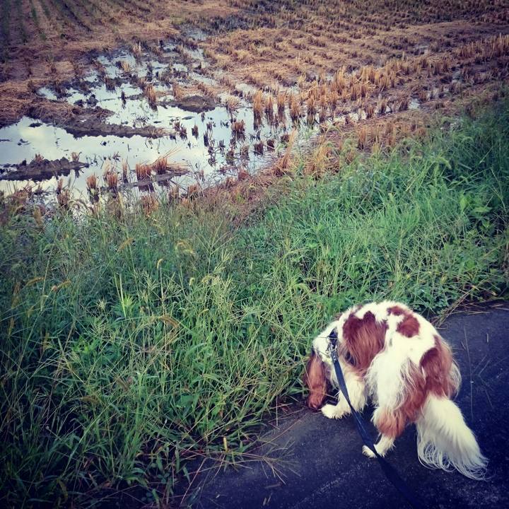 1eb861f9 29dd 4f60 b416 f34cde4362af 1538105213381