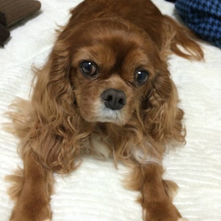 1eb8880e 848f 4736 a7e7 f6485c6c1093 1510805799533