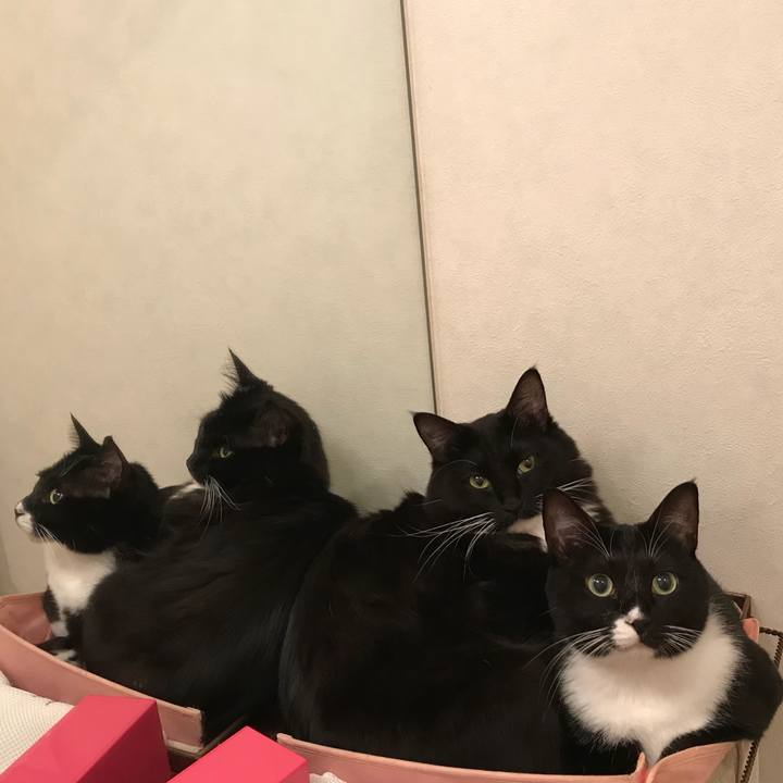 1eb88e49 d792 4726 b53d b983e9ee6d5d 1508370023609