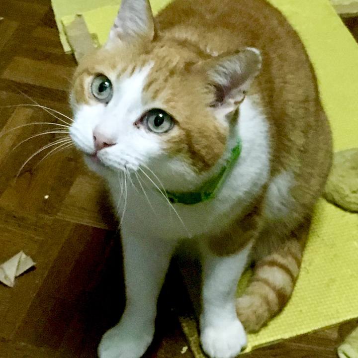 1eb8a3b4 740d 42b5 948f 05dc6908bdb6 1555883772396