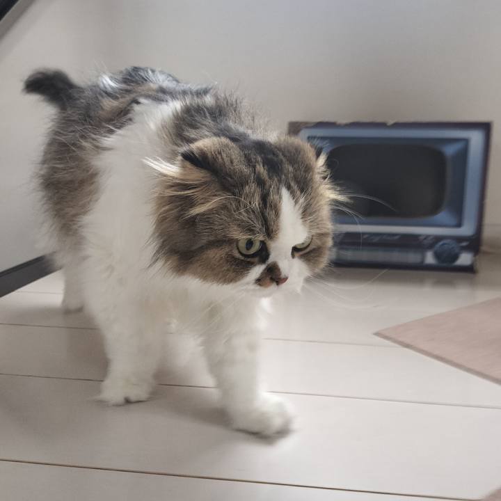 1eb8ae79 9702 4121 bd1b e2822ec7a520 1758063498006