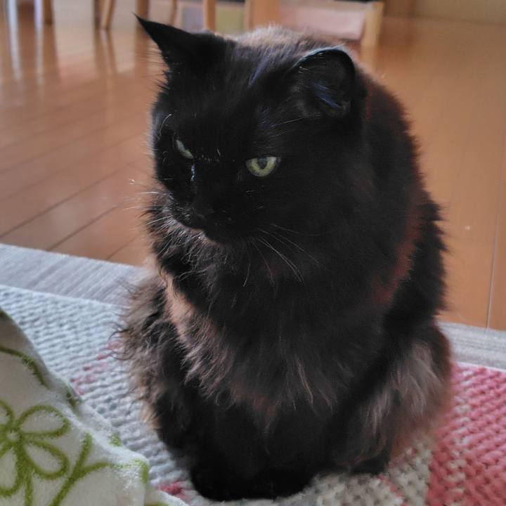 1eb8af0f 28dc 4e51 a0d8 14faf4862598 1775204338155