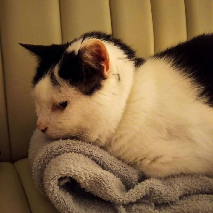 1eb8b3e3 d142 428f b20d 9ab13966a3bf 1563640268861