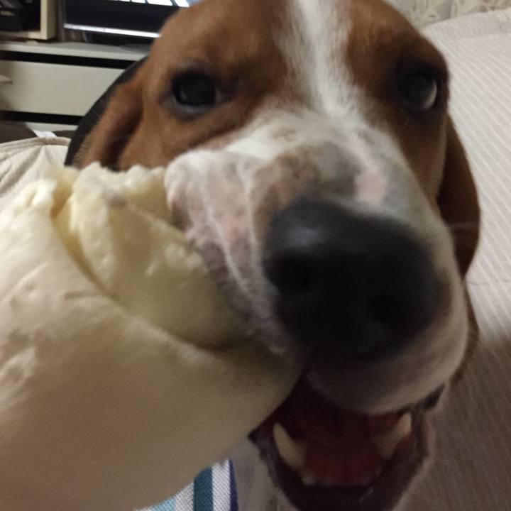 1eb8d9a8 ac33 4e75 acab 0843830fe3f6 1536330642139