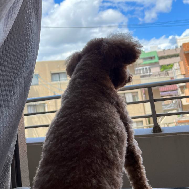 1eb8fe5c cffe 479d b322 74ac2fc44f29 1660816443190