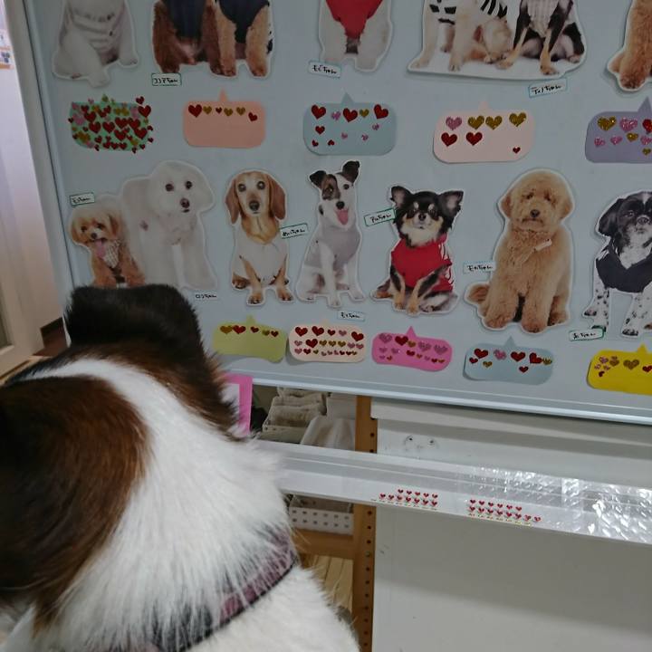 1eb90398 8dae 48b4 96a6 cfaa426e3baa 1526361106630