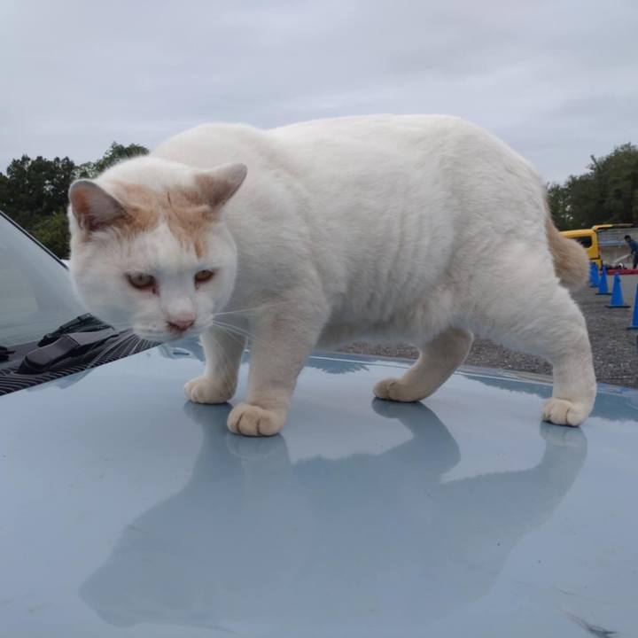 1eb91bf6 1f3d 4dba 812c 503afbcdcc1a 1730171727834