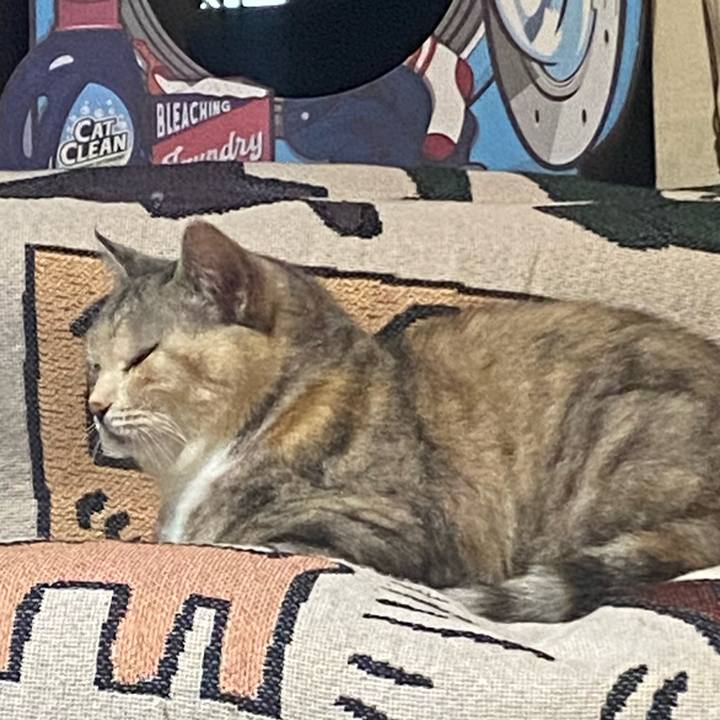 1eb91c54 b349 4c88 89a9 97f9ad1bc7d5 1719667723787