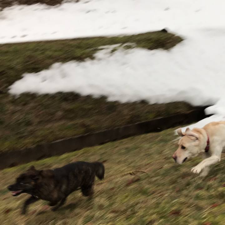 1eb91ff5 d3b6 4420 a456 29b721f8d5d3 1519430142710