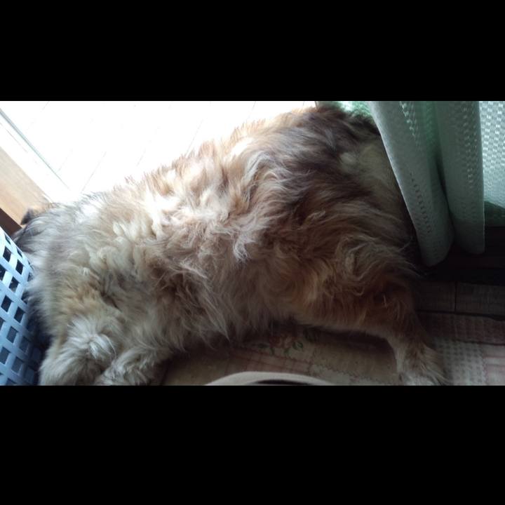 1eb92378 4478 48d2 8e9b 21d660aa50f8 1617682253420