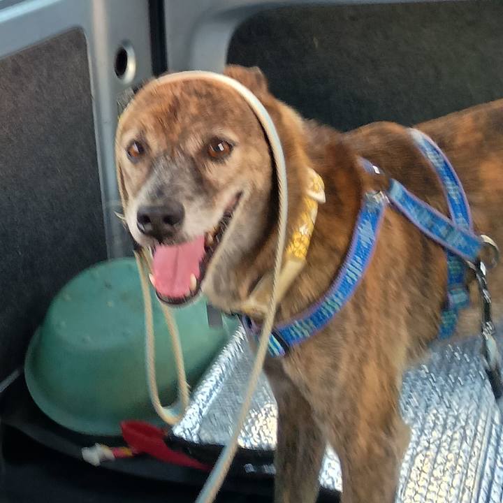 1eb92a3a 2268 4d8d 971d f549c12d34b8 1760885279465