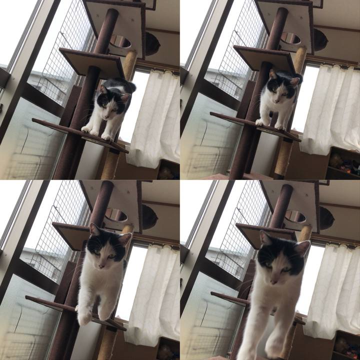 1eb932e9 1117 4713 a5e0 2358709c31e2 1569036410532