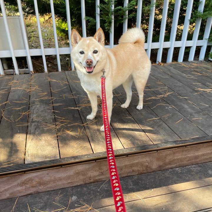 1eb945bd 3bd6 4645 89a8 fc9014b8f655 1702700832376