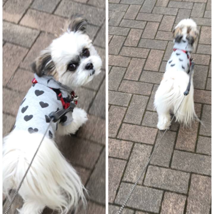 1eb95658 8b0b 4150 8bc6 40fe4324c4cb 1511906722670