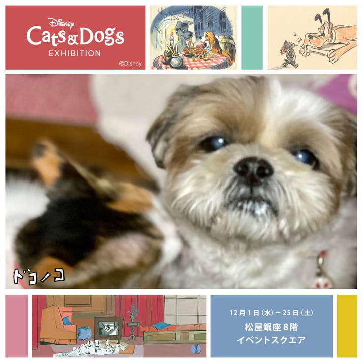 1eb96652 2f8e 4b4d 92f7 5ec7dc82a20a 1638334172503