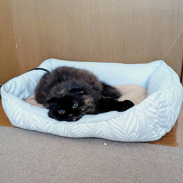 1eb96f85 9cf7 4bd9 8fd5 3d8cdb53f4ca 1761263679483