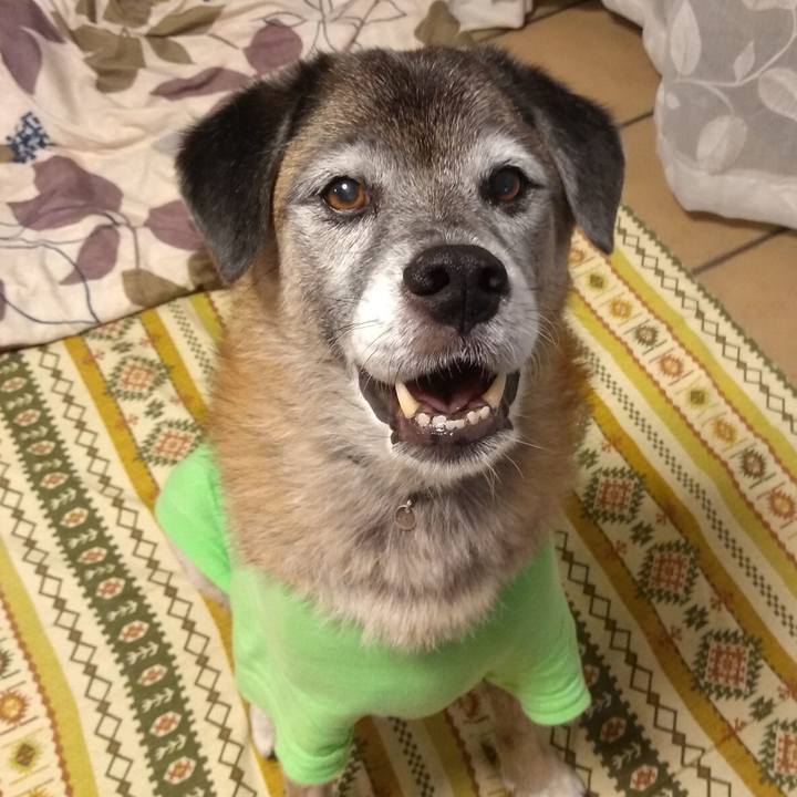 1eb98332 2831 4298 8945 37933b8dd4e6 1570886938783