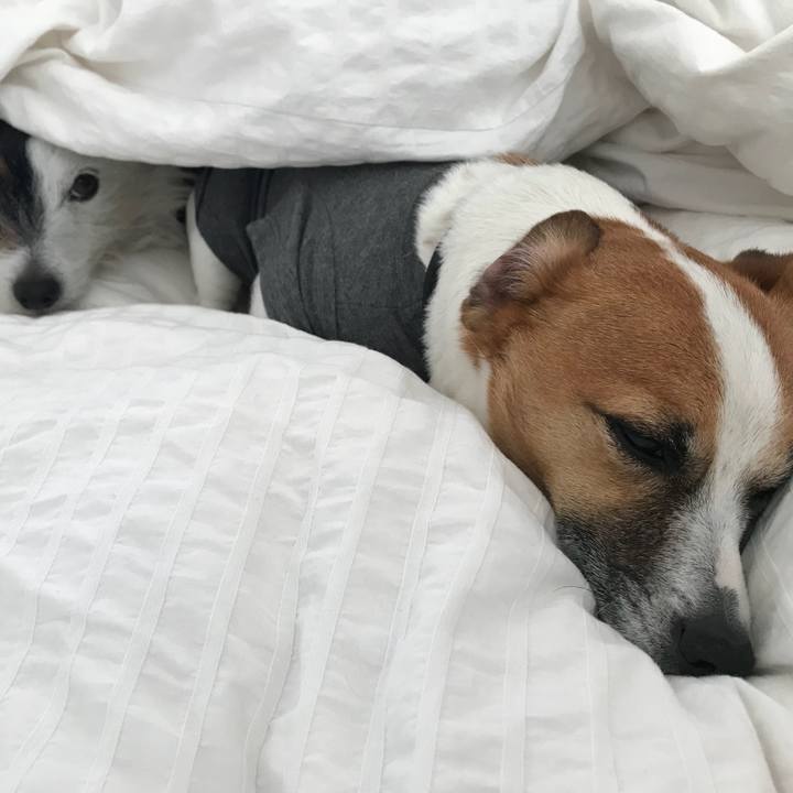 1eb9d6de 2e15 4f3a 916f 7a57dba717c5 1523315349441