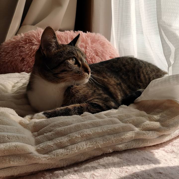 1eba180f 4916 4fb8 aca2 c0e32f3ef471 1673141115542