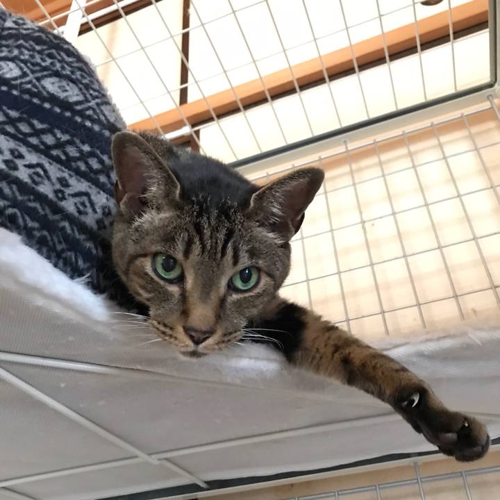 1eba2a8e a865 40a3 8782 bb61192815fc 1530667906970