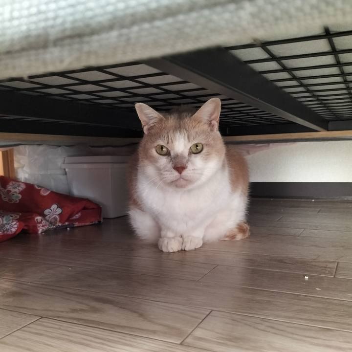 1eba2b57 c2a7 4669 a883 aa215f7dccd6 1635895890281