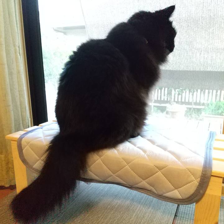 1eba35e9 f0c6 4800 9557 81036e7fa0fc 1656236789842