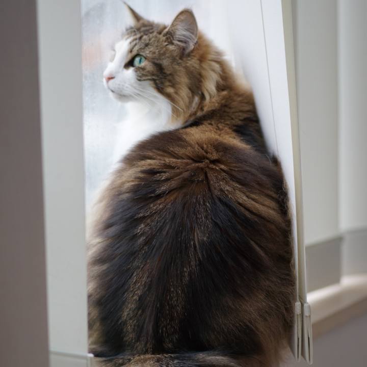 1eba7166 c8ba 43ec 8d43 63ef1ccfc901 1654483925762