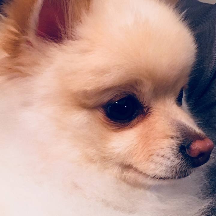 1eba803c 5bb0 4376 a0d0 e8aec9f1e6e5 1528284649405