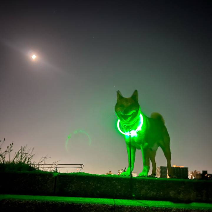 1eba85a9 d516 4c4a bd34 b6a67994607f 1716048288746