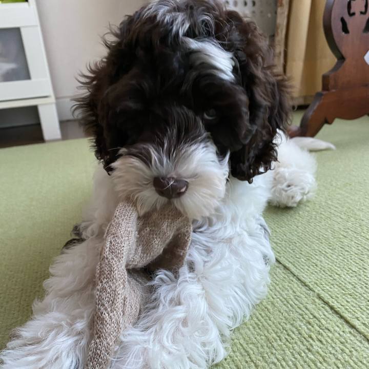 1eba8ffa ea4e 4b25 a7ea 6153369c97bb 1608072405250