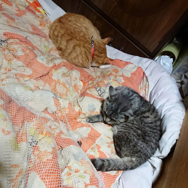 1ebaa40a a278 4a89 9a9c 0e2c4c3ce0fb 1570901875151