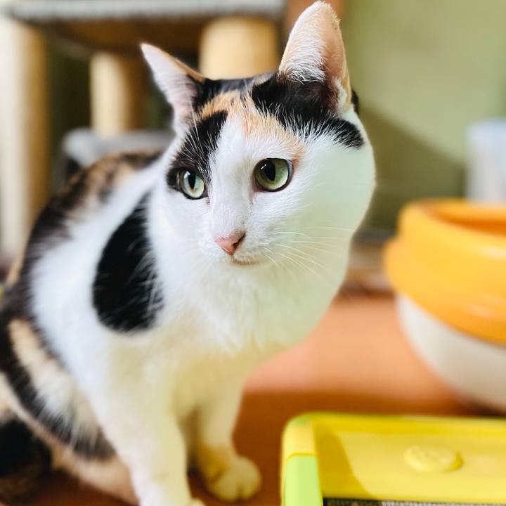 1ebb2107 e9d7 403d b10e 04d6fa3ee45d 1604458353948