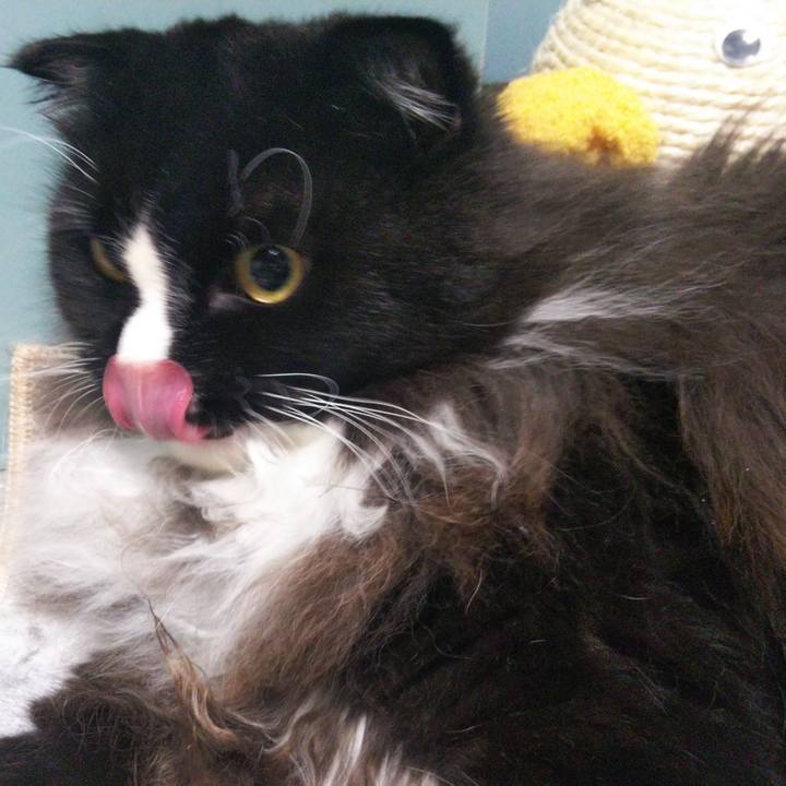 1ebb4d70 be1e 4e1b 9cd9 ec6358b3c87f 1660010576339