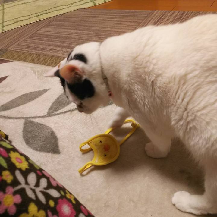 1ebb5a96 2cc6 4d53 8a4e aca5bb05e47d 1550926747129