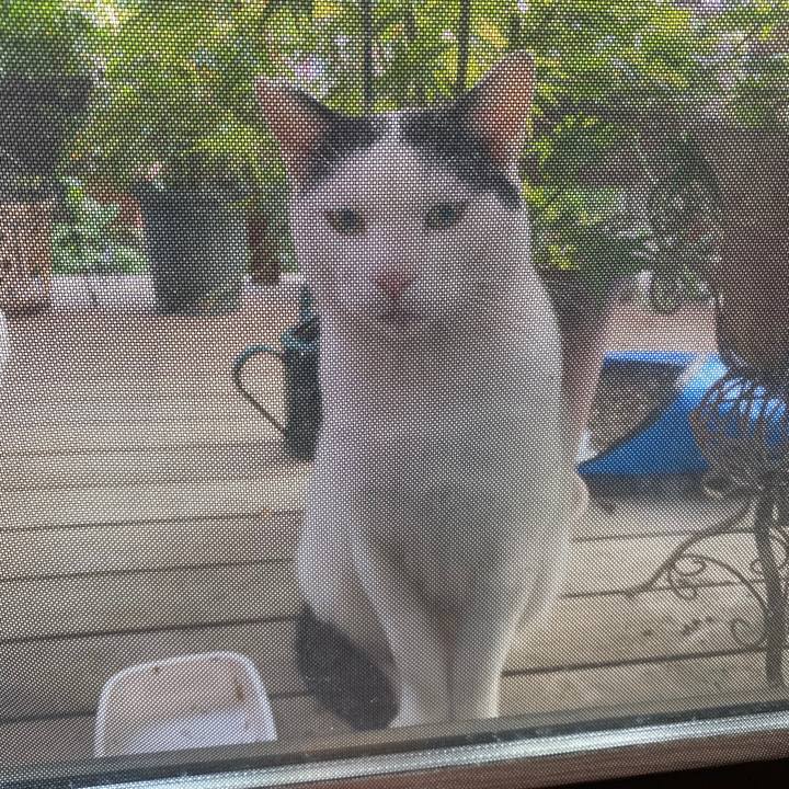 1ebbbd61 9e0f 4dfc 82cc 31b027114315 1603176789200