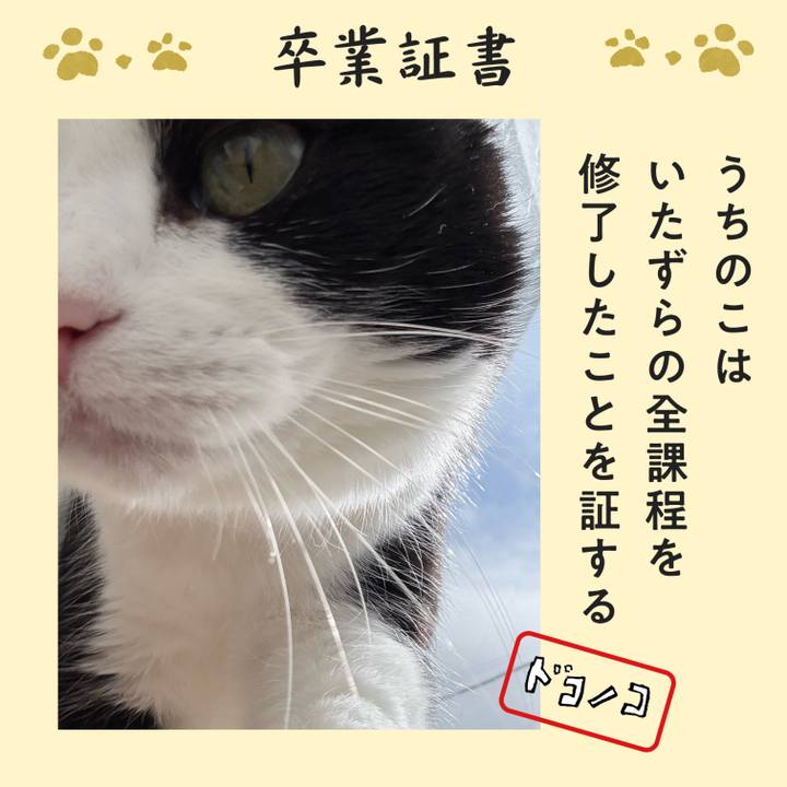 1ebc3e0c 032b 4249 beef 87c821de4772 1772438894075