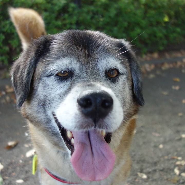 1ebc7b8b 9b50 4b8d a4bb c5c3fb5cc617 1676165727634