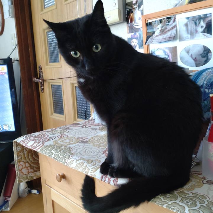 1ebc95c1 7445 4be8 806b 201694284f87 1647614701643