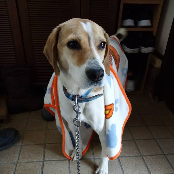 1ebca1d8 ded0 47db a3e8 c23a63e8a37d 1616145158329